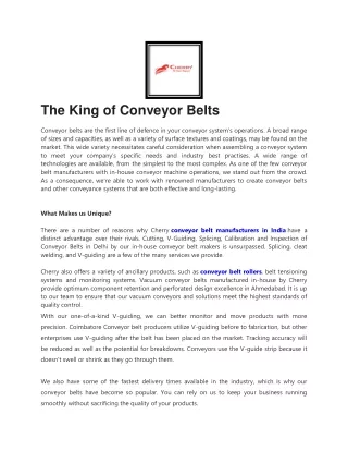 Conveyor Belt - Kashetter Group of Firms