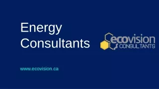 energy consultants