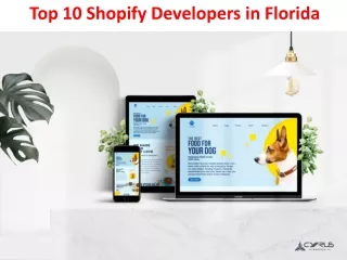 top 10 shopify developers in florida