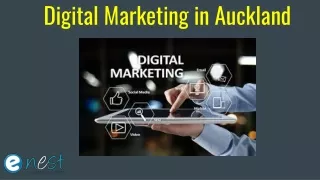 digital marketing i n auckland