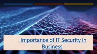 Importance of IT Security in Business