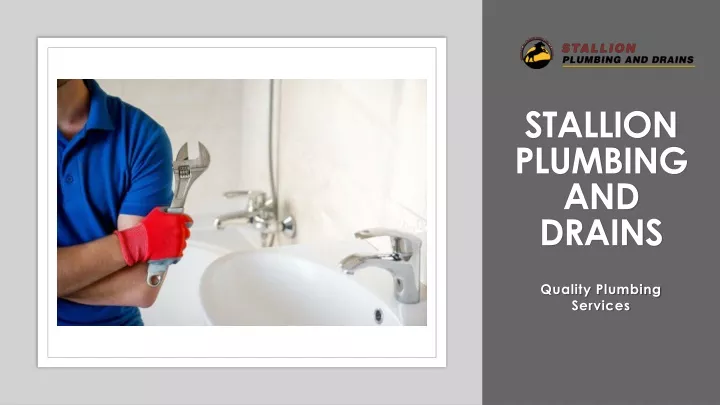 stallion plumbing and drains