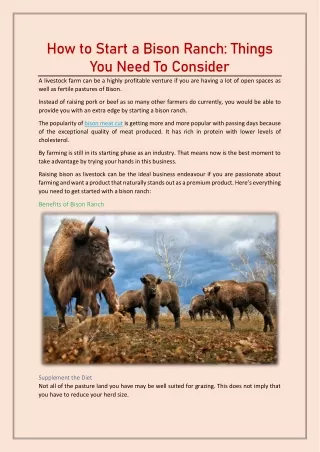 How to Start a Bison Ranch Things You Need To Consider