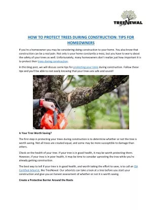 HOW TO PROTECT TREES DURING CONSTRUCTION TIPS FOR HOMEOWNERS