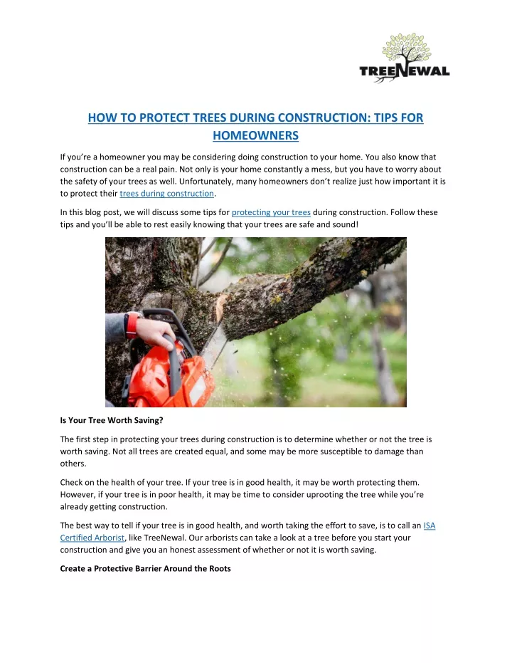 how to protect trees during construction tips
