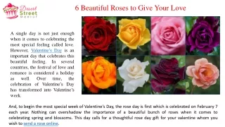 Top 6 Beautiful Roses to Give Your Love