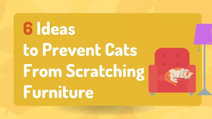 6 ideas to prevent cats from scratching furniture