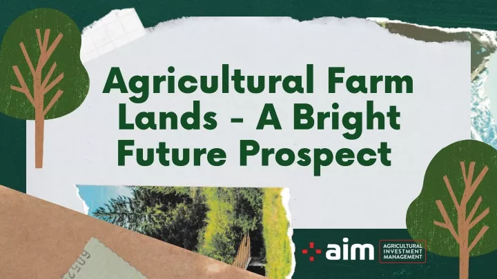agricultural farm lands a bright future prospect