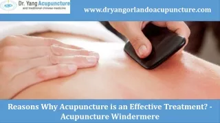 www dryangorlandoacupuncture com
