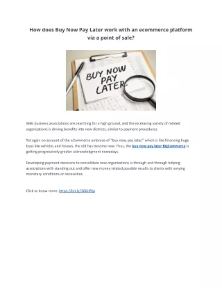 how does buy now pay later work with an ecommerce