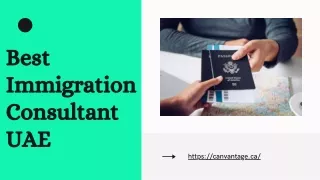 Best Immigration Consultant UAE - Canvantage - Business Consulting Company