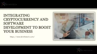 integrating cryptocurrency and software development to boost your business