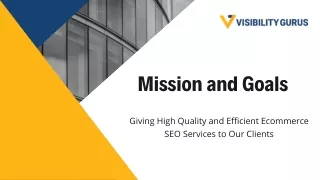 Visibility Gurus E-Commerce SEO Services