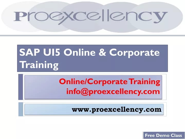 online corporate training info@proexcellency com