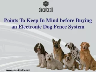 Points To Keep In Mind before Buying an Electronic Dog Fence System
