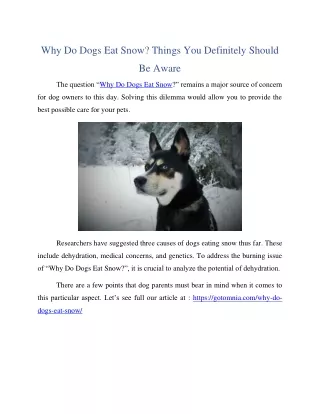 Why Do Dogs Eat Snow? Things You Definitely Should Be Aware