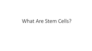 what are stem cells