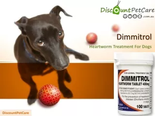 Dimmitrol Heartworm Treatment For Dogs | DiscountPetCare