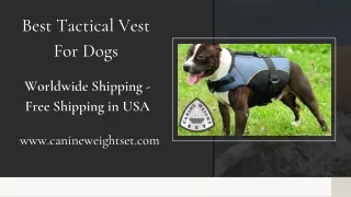 Best Tactical Vest For Dogs