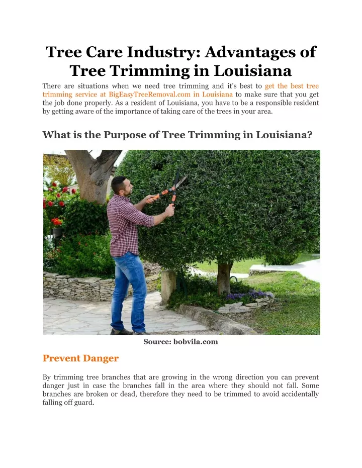 tree care industry advantages of tree trimming