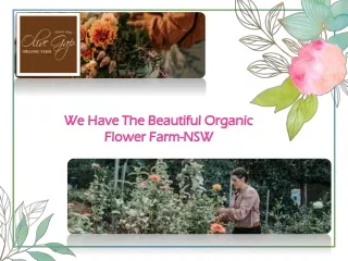 We Have The Beautiful Organic Flower Farm-NSW