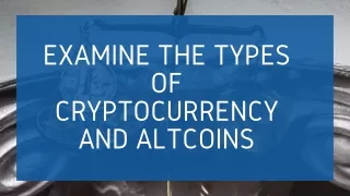Study Different Types of Cryptocurrencies & Altcoins | XTEM