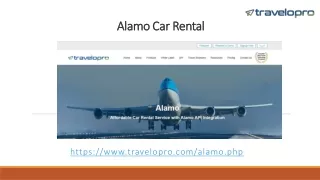 alamo car rental