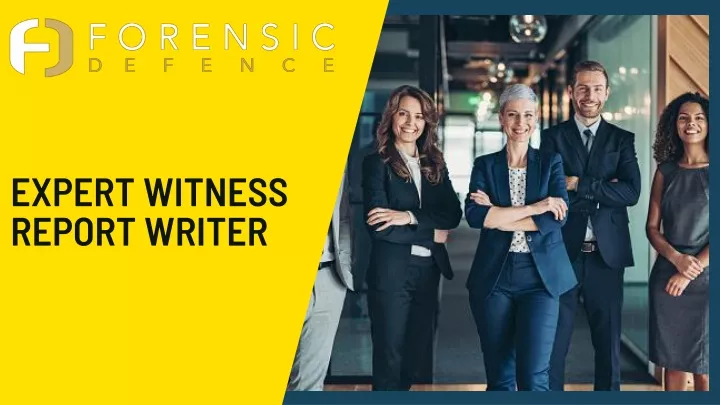 expert witness report writer