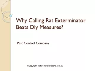 Why Calling Rat Exterminator Beats Diy Measures?