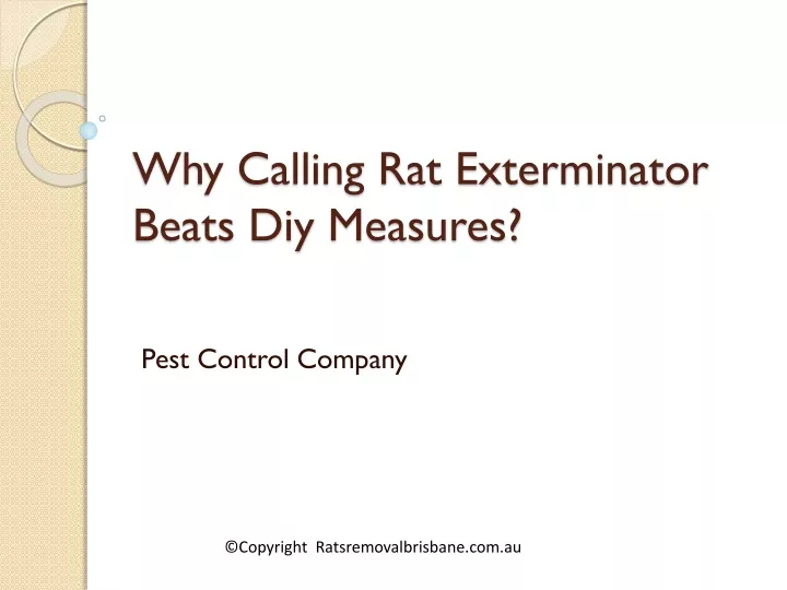 why calling rat exterminator beats diy measures