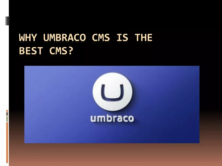 why umbraco cms is the best cms