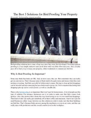 the best 3 solutions for bird proofing your