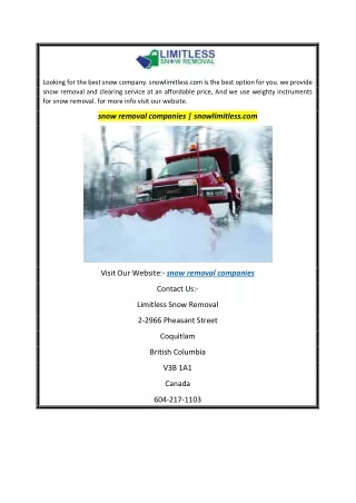 looking for the best snow company snowlimitless