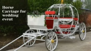 Why You Really Need a Horse Carriage for wedding event_