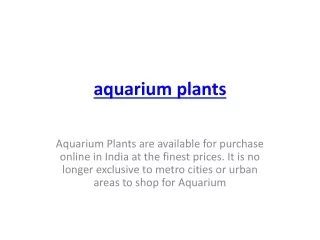 aquarium plants