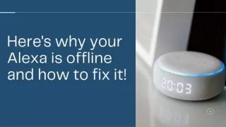 Here's why your Alexa is offline and how to fix it!