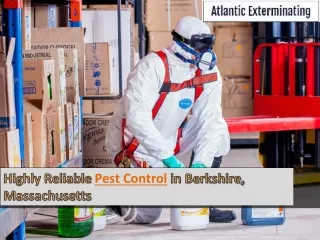 Highly Reliable Pest Control in Berkshire, Massachusetts
