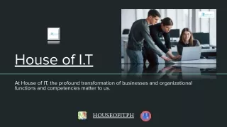 IT Consulting