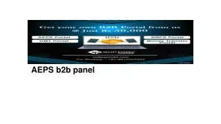 aeps b2b panel