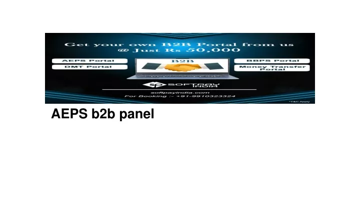 aeps b2b panel