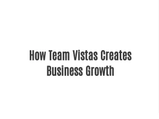 How Team Vistas Creates Business Growth
