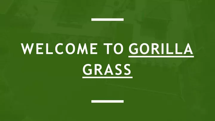 welcome to gorilla grass