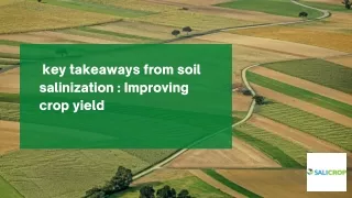 key takeaways from soil salinization Improving Crop Yield