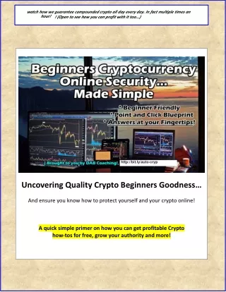 Beginners Cryptocurrency Online Security - Made Simple