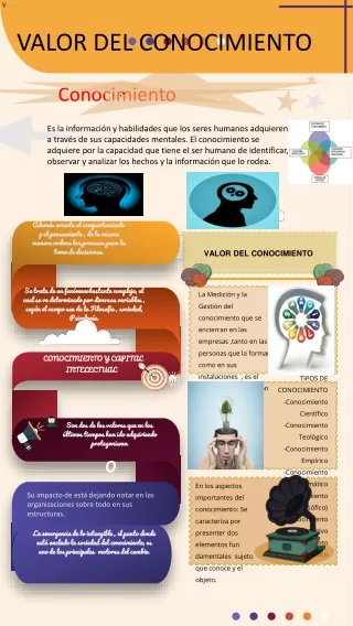 INFOGRAFÍA VALOR DEL CONOCIMIENTO