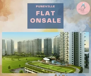 puneville