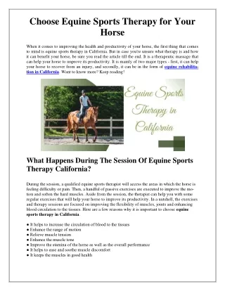 Choose Equine Sports Therapy for Your Horse