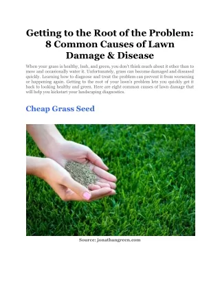getting to the root of the problem 8 common