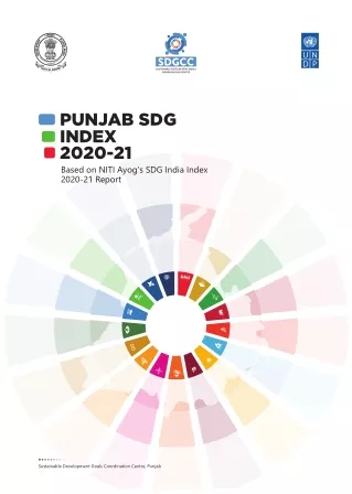 SDG-PUNJAB-INDEX-Analysis-2020-21 (1)