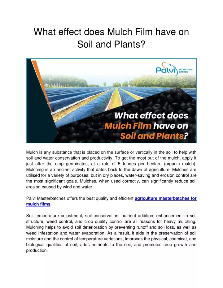 what effect does mulch film have on soil